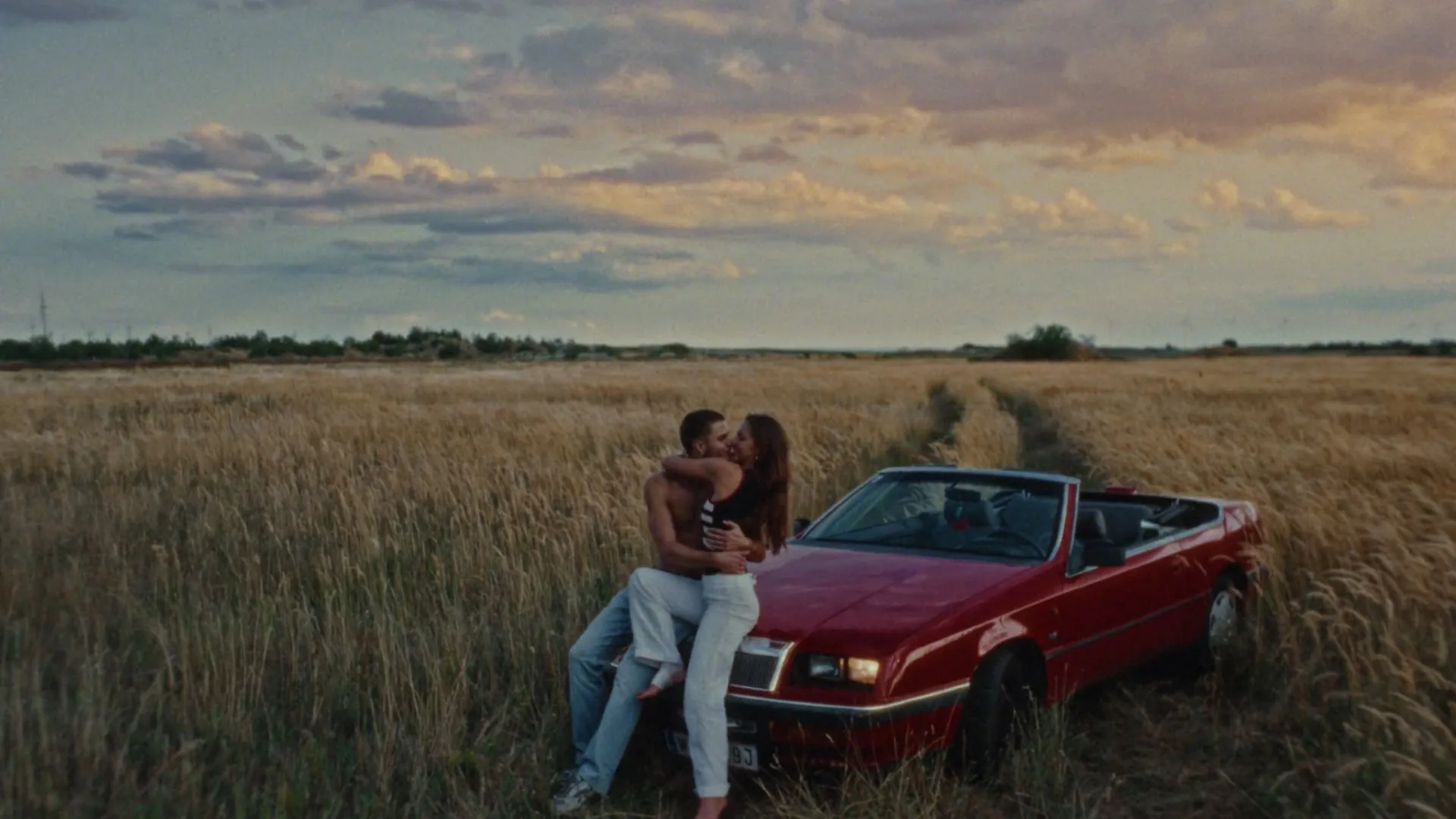 ALL THE WILD HEARTS HERE BELOW Film